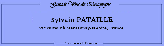 Sylvain Pataille